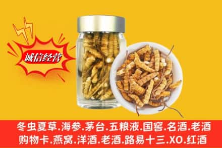 沙县回收散虫草